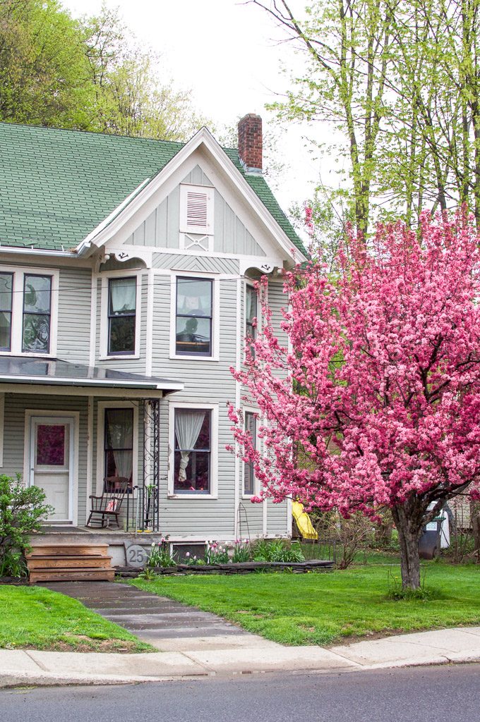 Phoenicia NY