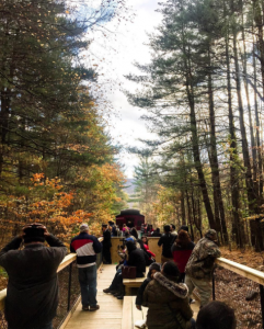 catskills mountains