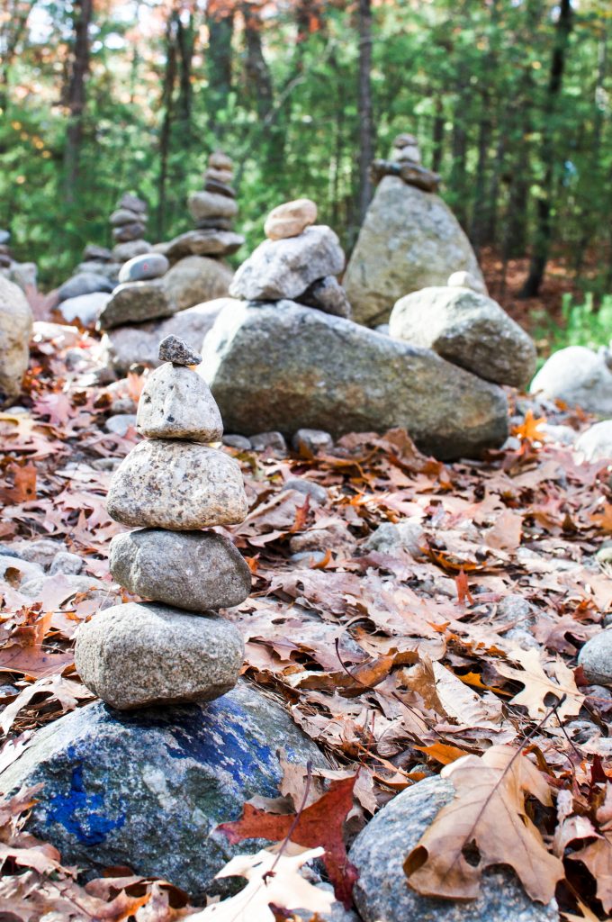 walden pond