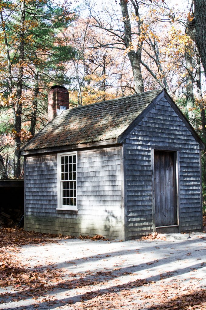 walden pond thoreau