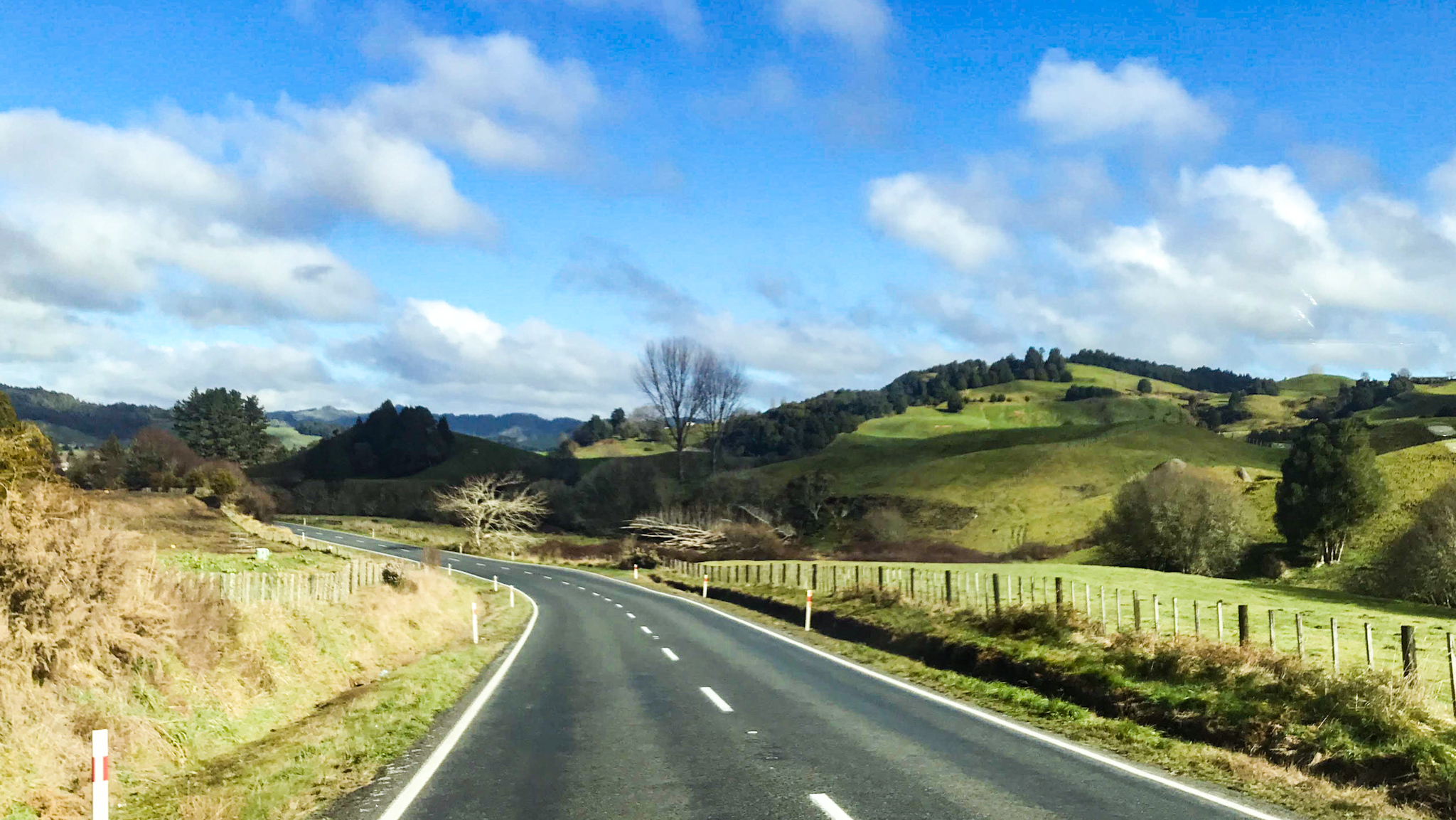 landscape new zealand