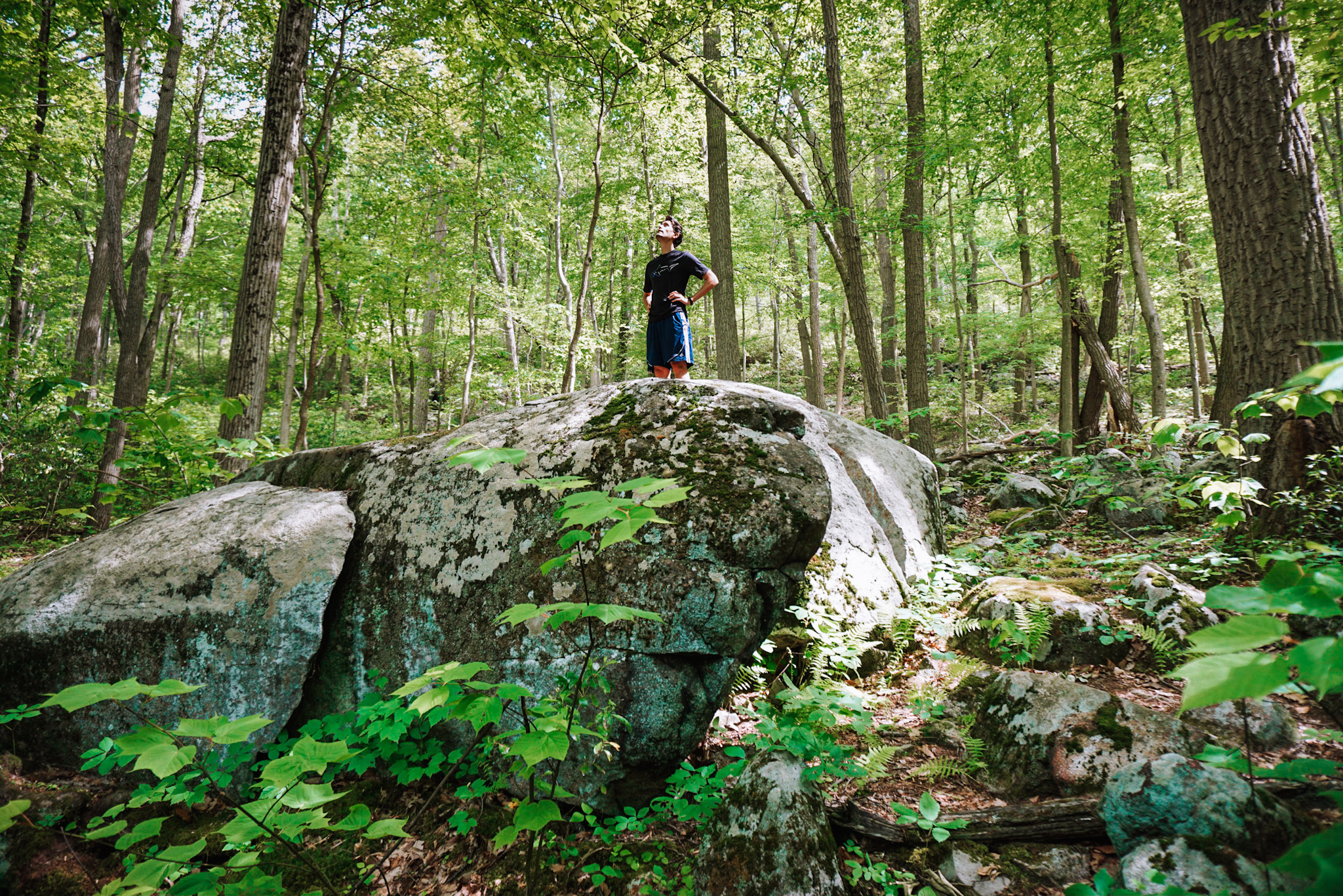 hiking at harriman state park