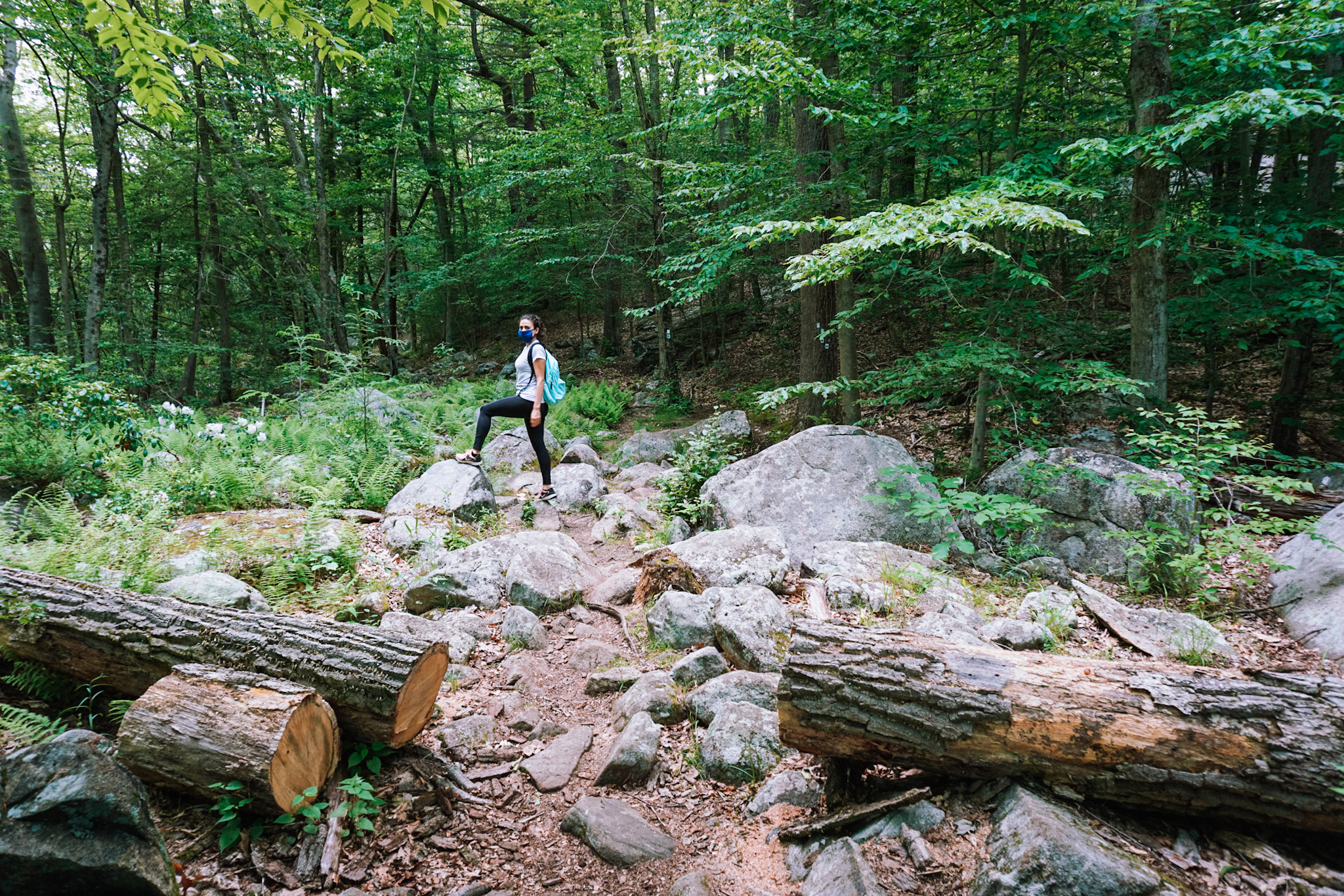 hiking at harriman state park