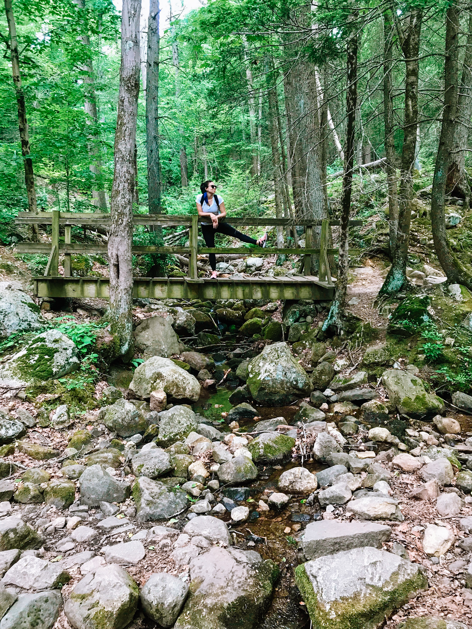 hiking at harriman state park