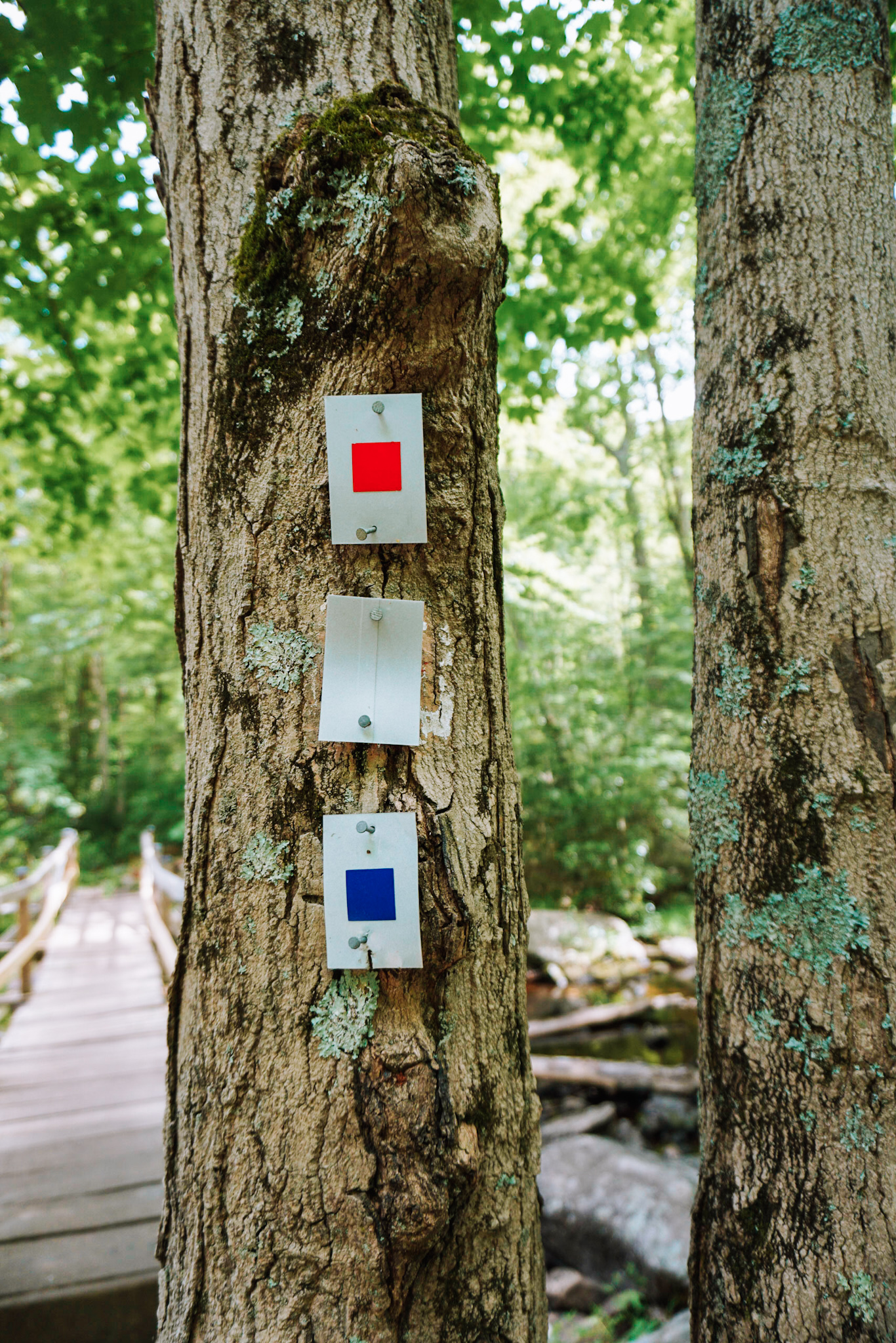 hiking at harriman state park