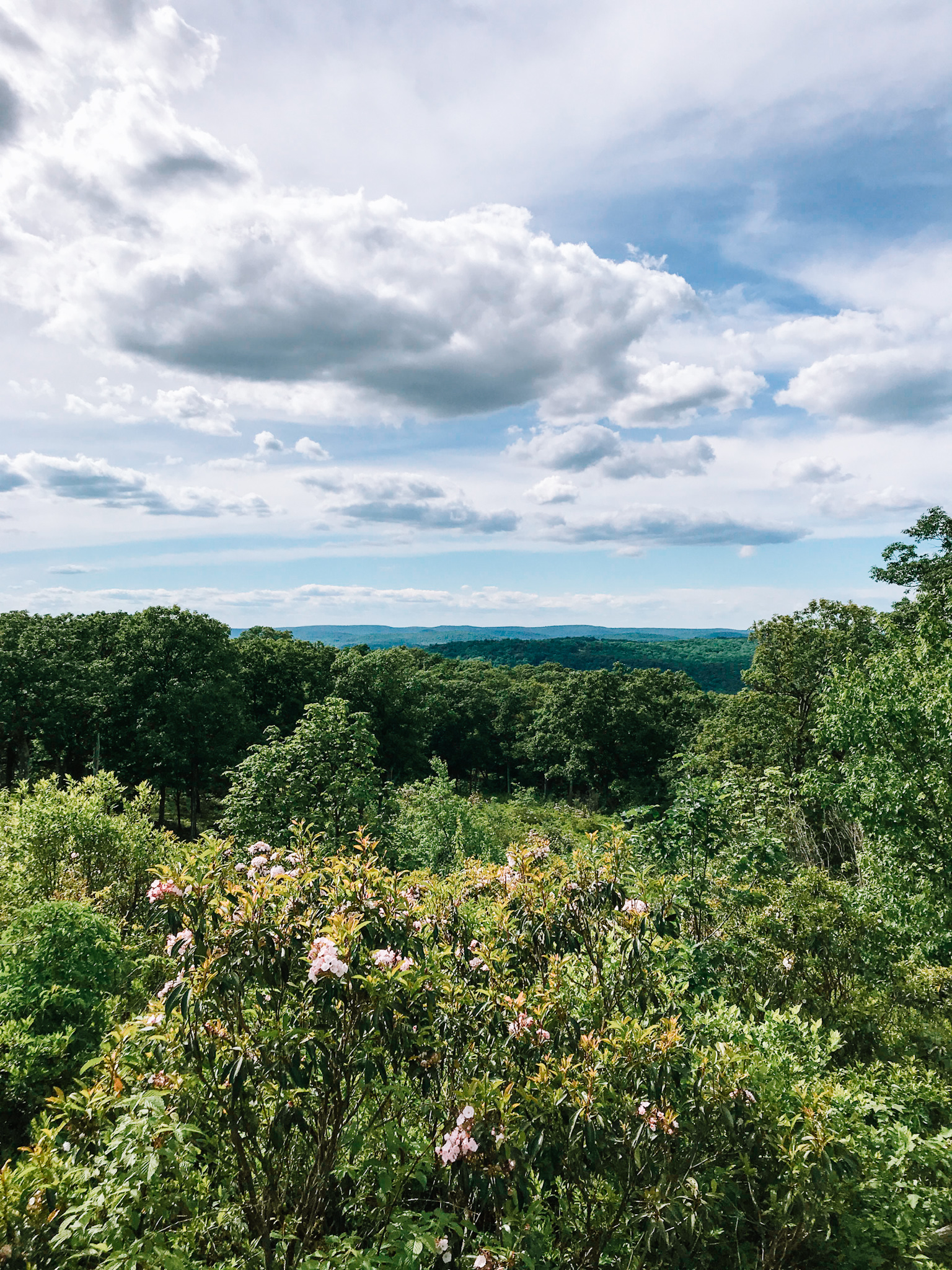 hiking at harriman state park