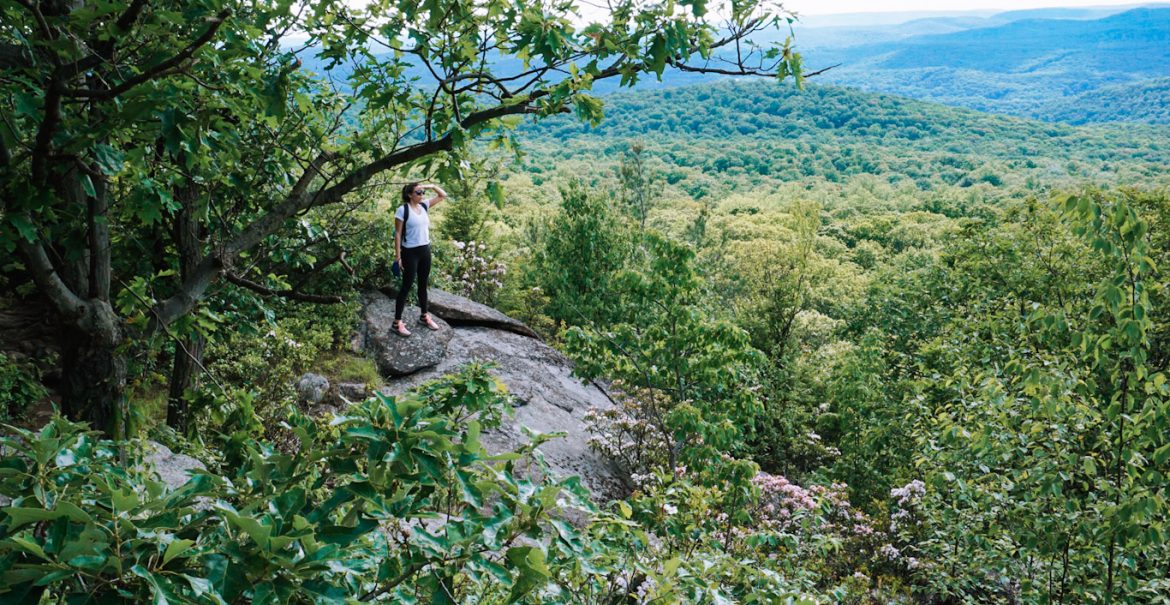 hiking at harriman state park