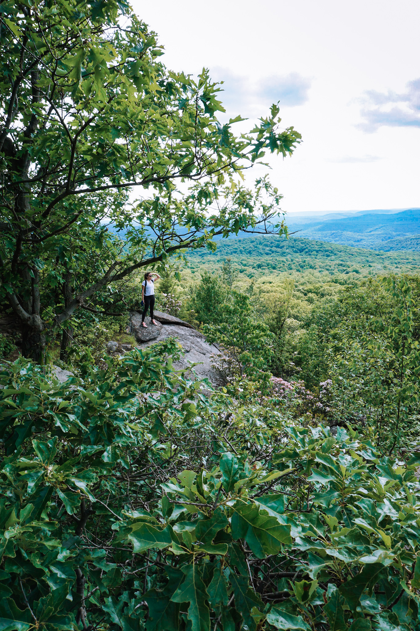 hiking at harriman state park